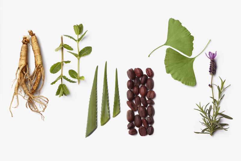 La-Biosthetique-Botanique